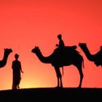 rajasthan tourist places - news count